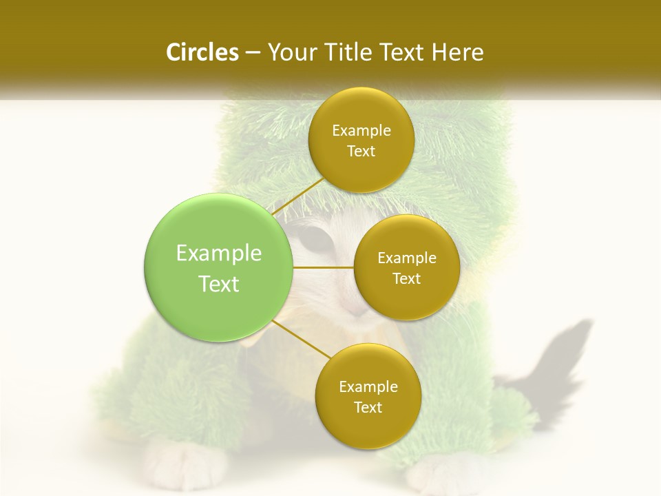 Cat In A Frog Costume PowerPoint Template