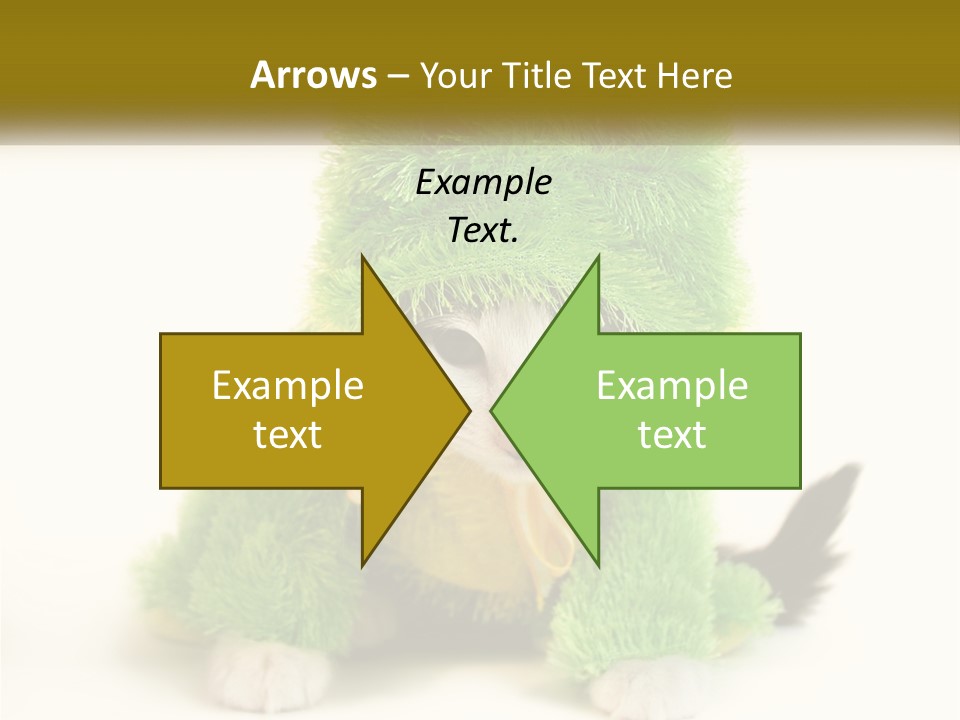 Cat In A Frog Costume PowerPoint Template