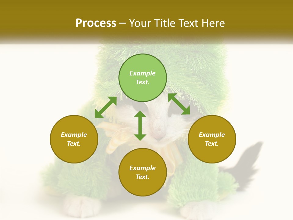 Cat In A Frog Costume PowerPoint Template