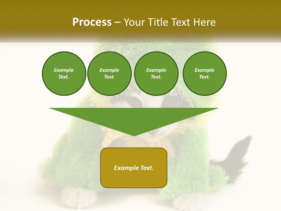 Cat In A Frog Costume PowerPoint Template
