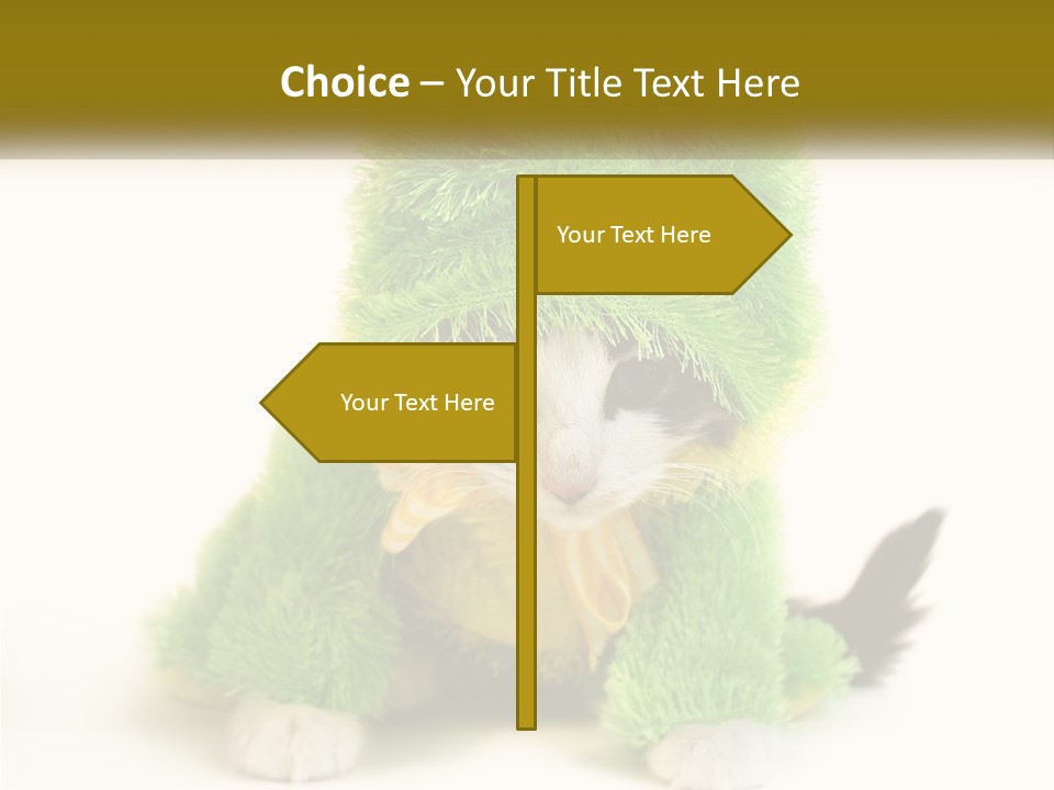 Cat In A Frog Costume PowerPoint Template