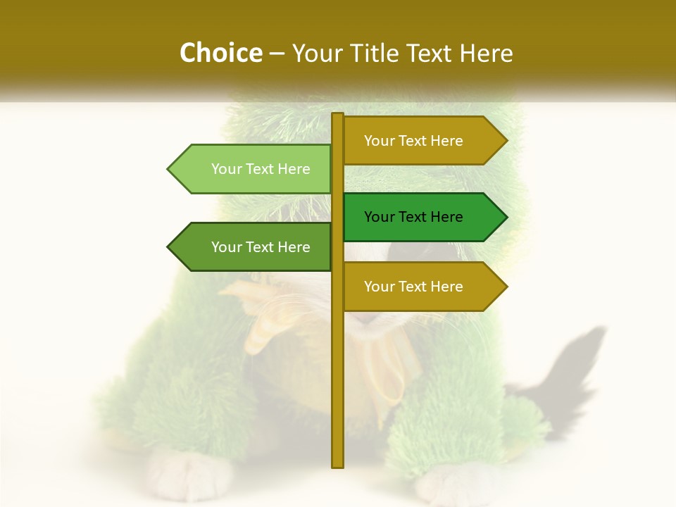 Cat In A Frog Costume PowerPoint Template