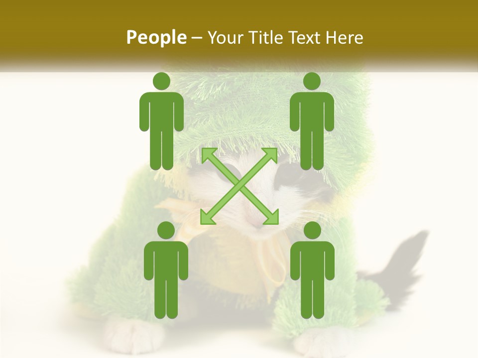 Cat In A Frog Costume PowerPoint Template
