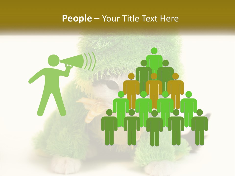 Cat In A Frog Costume PowerPoint Template