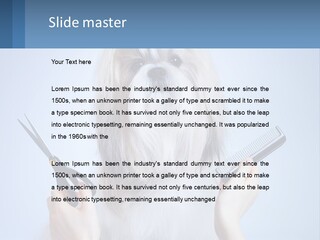 Hairdresser's Dog PowerPoint Template