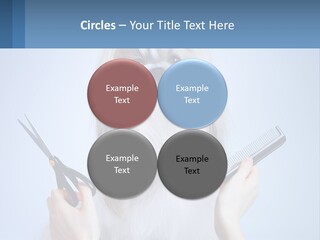 Hairdresser's Dog PowerPoint Template