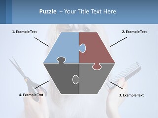 Hairdresser's Dog PowerPoint Template