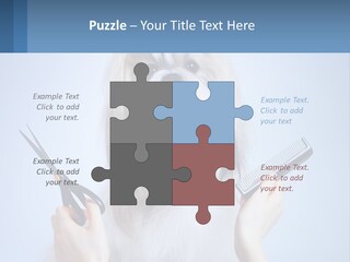 Hairdresser's Dog PowerPoint Template