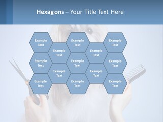 Hairdresser's Dog PowerPoint Template