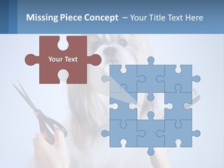 Hairdresser's Dog PowerPoint Template