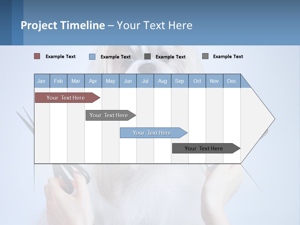 Hairdresser's Dog PowerPoint Template