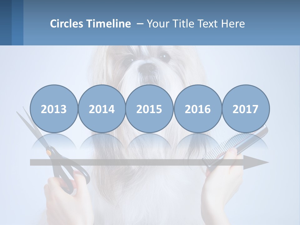 Hairdresser's Dog PowerPoint Template