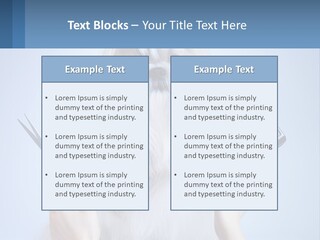 Hairdresser's Dog PowerPoint Template