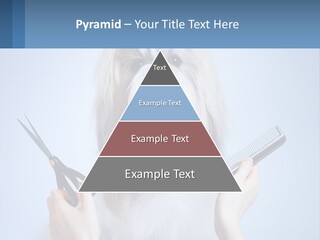 Hairdresser's Dog PowerPoint Template