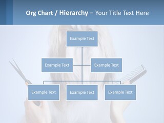 Hairdresser's Dog PowerPoint Template