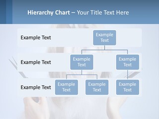 Hairdresser's Dog PowerPoint Template