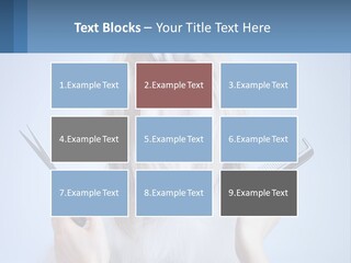 Hairdresser's Dog PowerPoint Template