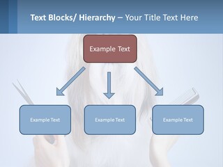 Hairdresser's Dog PowerPoint Template