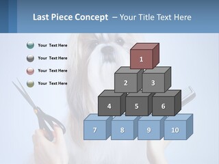 Hairdresser's Dog PowerPoint Template