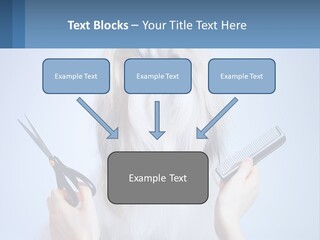 Hairdresser's Dog PowerPoint Template