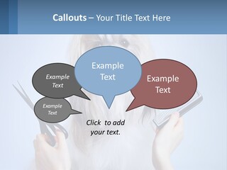Hairdresser's Dog PowerPoint Template
