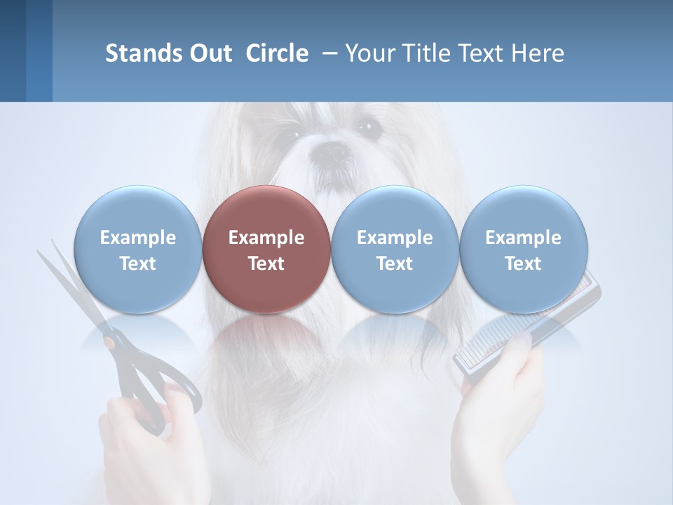 Hairdresser's Dog PowerPoint Template