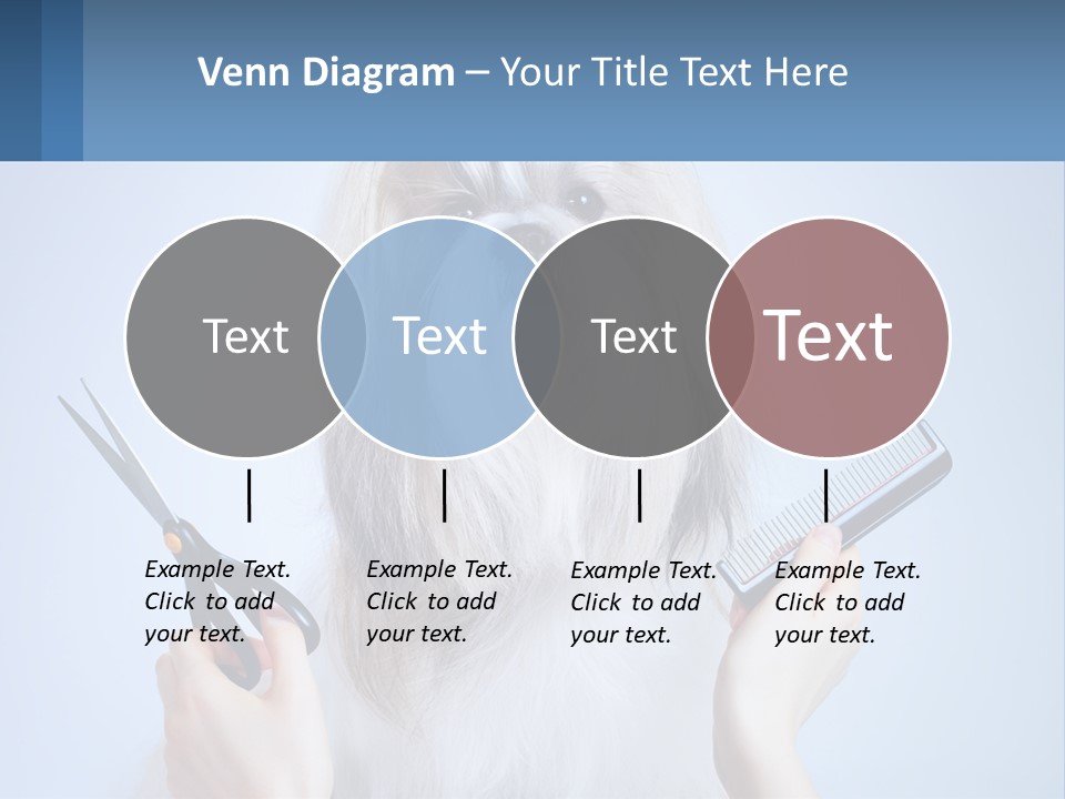 Hairdresser's Dog PowerPoint Template