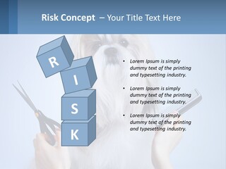 Hairdresser's Dog PowerPoint Template