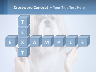 Hairdresser's Dog PowerPoint Template