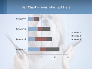 Hairdresser's Dog PowerPoint Template