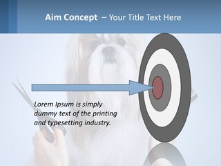 Hairdresser's Dog PowerPoint Template