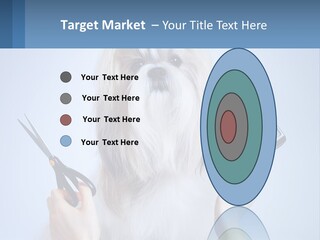Hairdresser's Dog PowerPoint Template