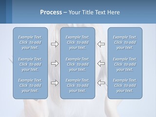 Hairdresser's Dog PowerPoint Template