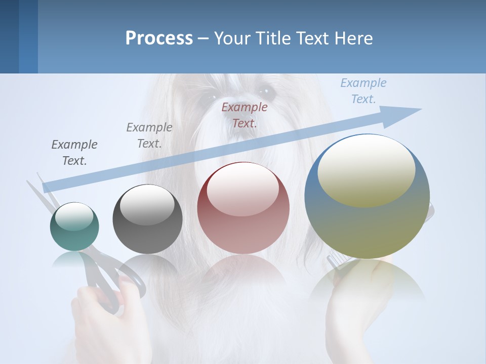 Hairdresser's Dog PowerPoint Template