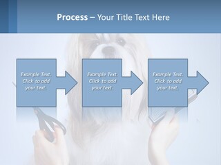 Hairdresser's Dog PowerPoint Template