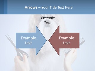 Hairdresser's Dog PowerPoint Template