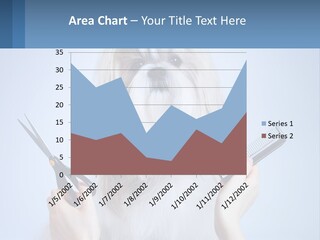 Hairdresser's Dog PowerPoint Template