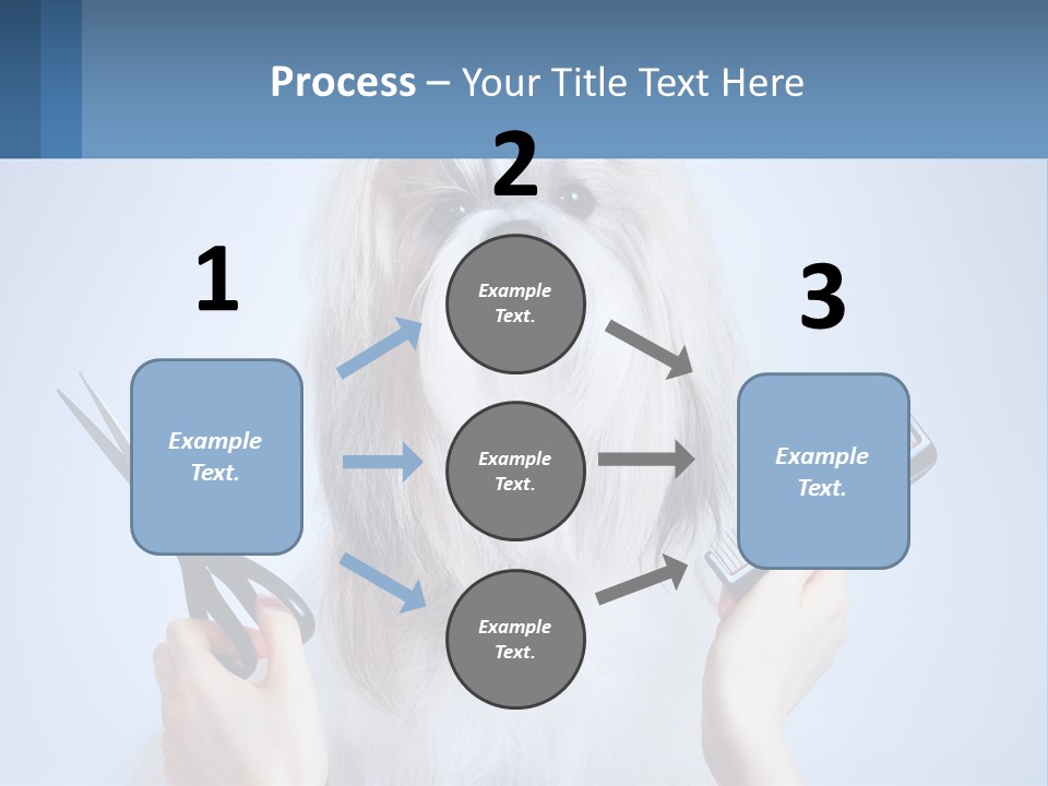 Hairdresser's Dog PowerPoint Template