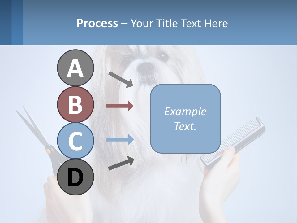 Hairdresser's Dog PowerPoint Template