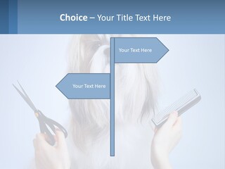 Hairdresser's Dog PowerPoint Template