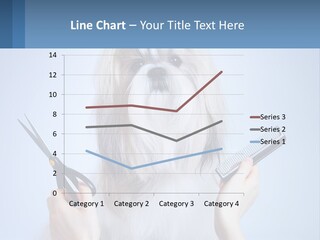 Hairdresser's Dog PowerPoint Template