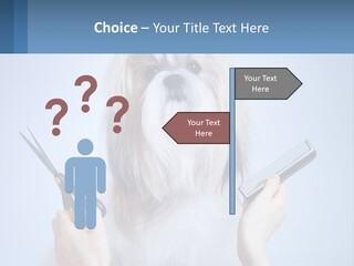 Hairdresser's Dog PowerPoint Template