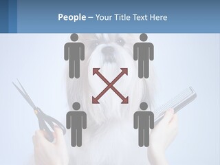 Hairdresser's Dog PowerPoint Template