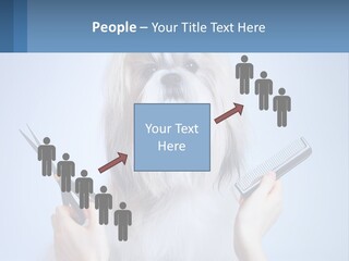 Hairdresser's Dog PowerPoint Template