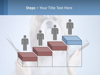 Hairdresser's Dog PowerPoint Template