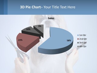 Hairdresser's Dog PowerPoint Template