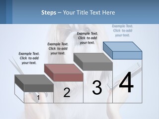 Hairdresser's Dog PowerPoint Template