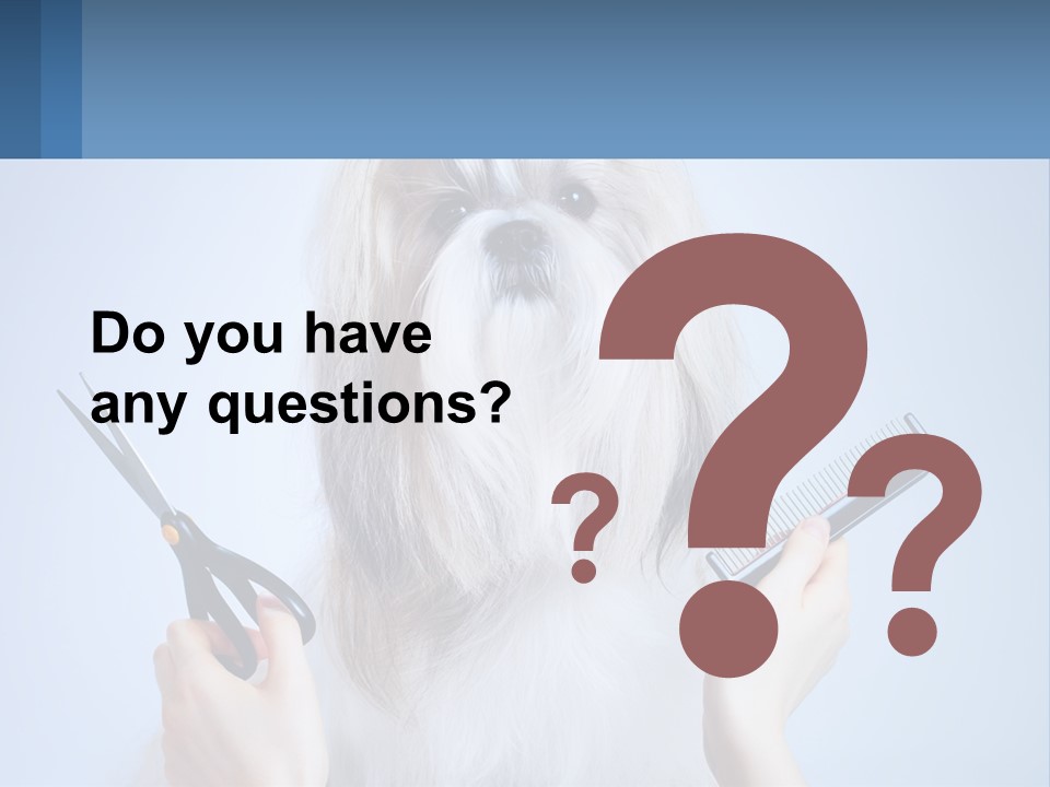 Hairdresser's Dog PowerPoint Template