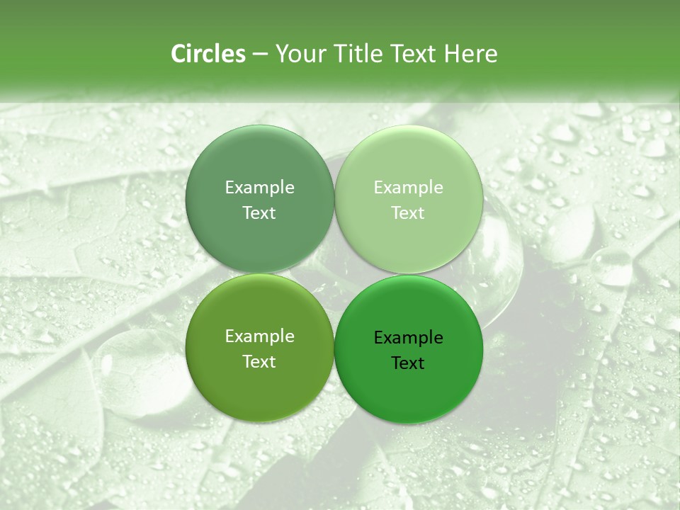 A Drop Of Water On A Leaf PowerPoint Template