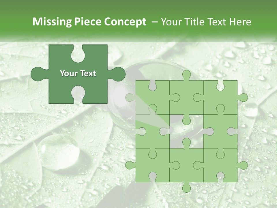 A Drop Of Water On A Leaf PowerPoint Template